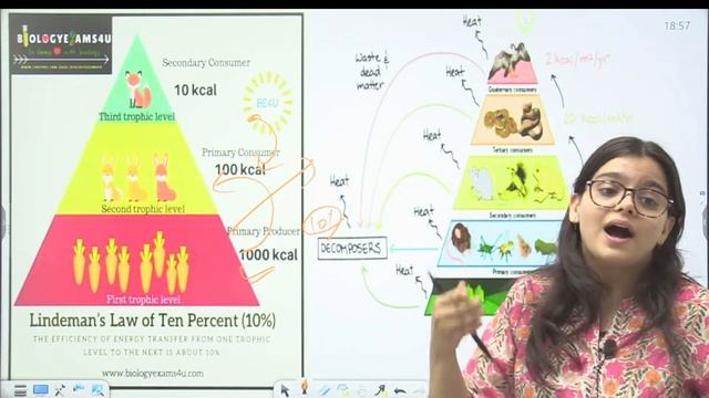 UPPCS Prelims 2024 | Complete Environmnet | Environment for UPPCS Prelims 2024 by Divya ma'am