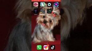 Взлом видео стара!😱😱