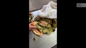 Гидравлический пресс для получения сока 50L