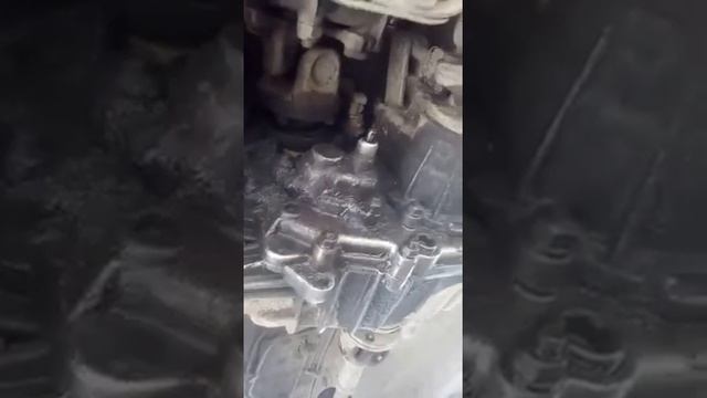 Нива смотреть онлайн