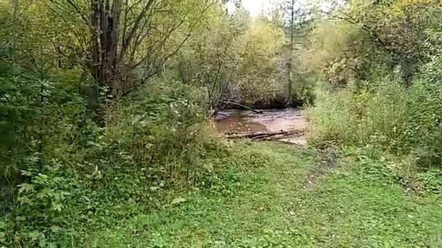 За шишками. Сплошной адреналин смотреть онлайн