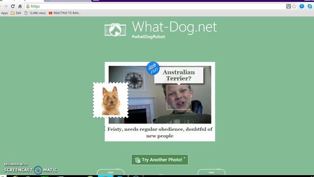 What Dog r u смотреть онлайн