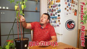 Два перца