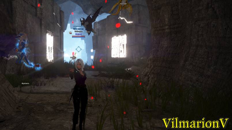 BDO ч.8 (Сравнение классов при фарме) ПВЕ Гайд:скилы,морфы на Шаю и Мастера меча