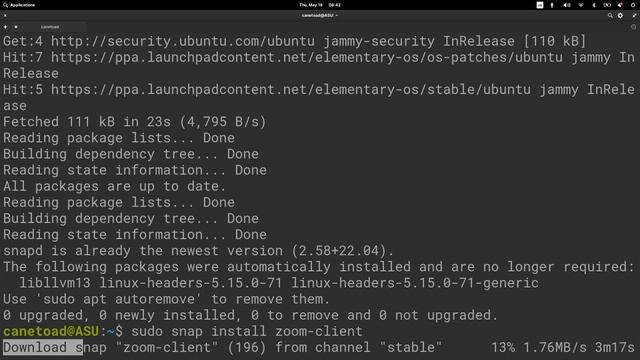 Install Zoom on Linux