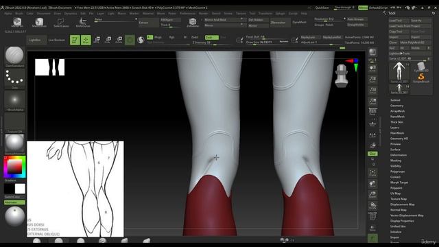 17. Leg Seams