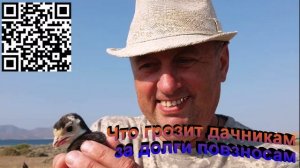 Что грозит дачникам за долги по взносам