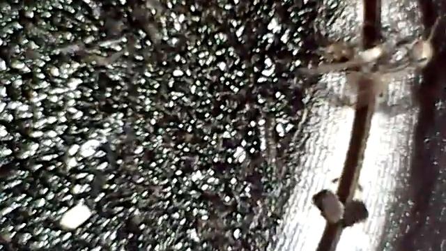 Откуда муха в цилиндре двигателя?! смотреть онлайн