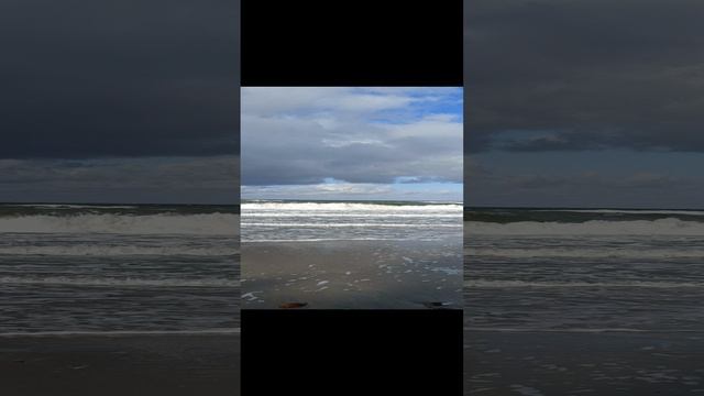 Куршская коса. Балтика волнуется 🌊