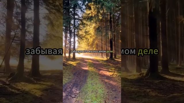 Маска общества #бытьсобой #страхосуждения #искренность #shorts #внутренниймир #честность #мудрость