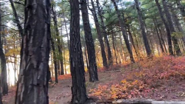 Traveling and mobile videos. Filmed on iPhone 11Pro. Путешествие и мобильная видеосъёмка. смотреть онлайн