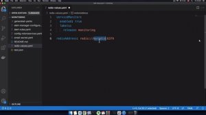 261. 13 - Deploy Redis Exporter