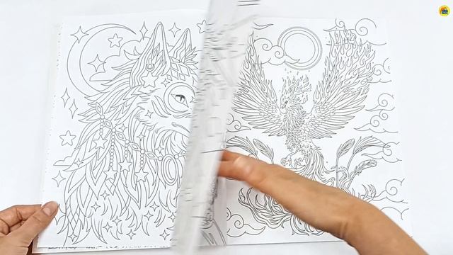 РАСКРАСКА АНИМЕ. ВОЛШЕБНЫЕ ЖИВОТНЫЕ