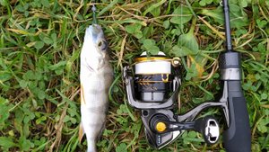 Ивановский пруд. Нано и микро-джиг 29 сентября 2024 года