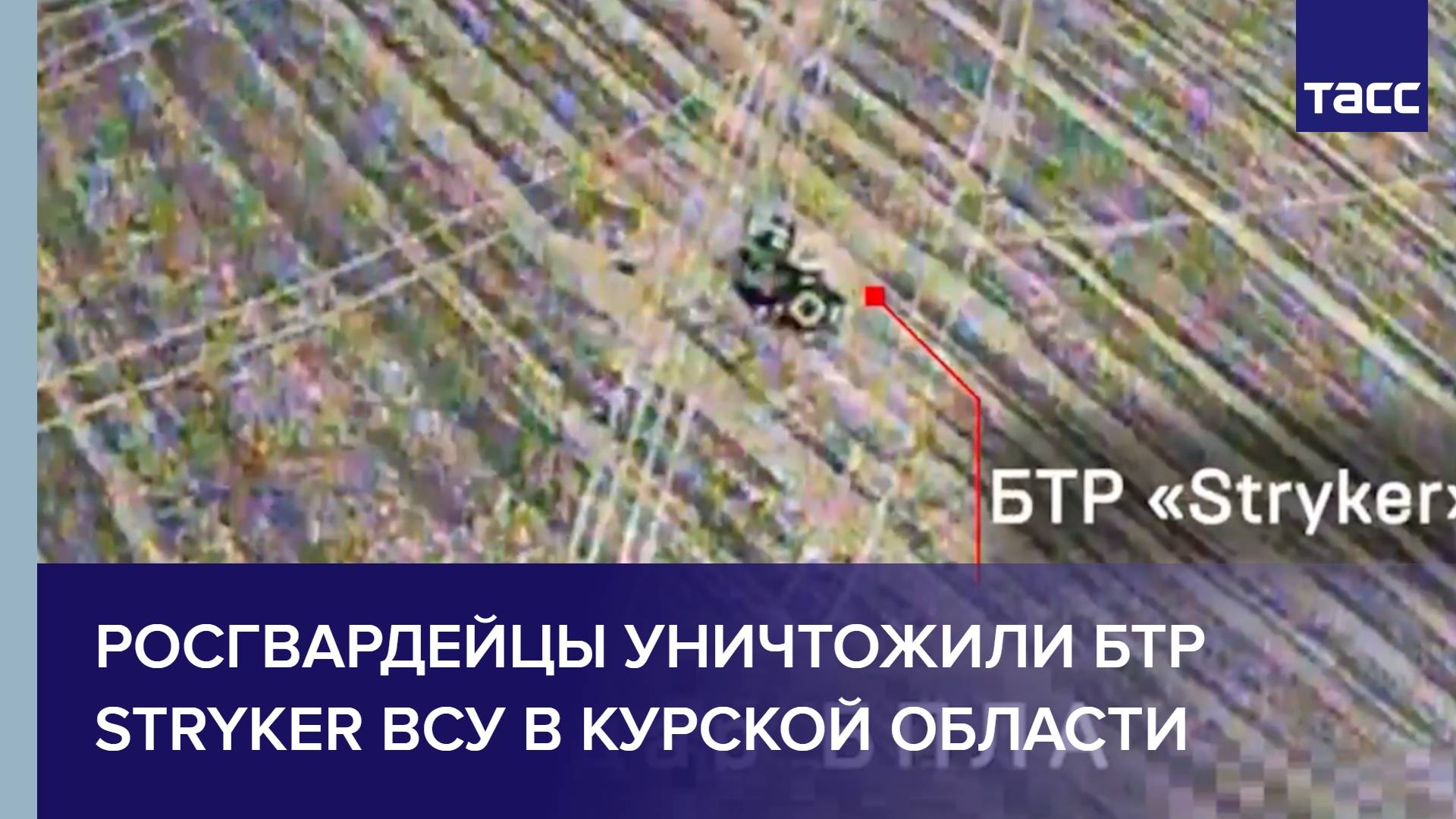 Росгвардейцы уничтожили БТР Stryker ВСУ в Курской области