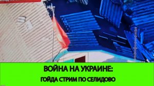 23.10 Гойда Стрим. Селидово. Горняк. И другие успехи наших слонят.