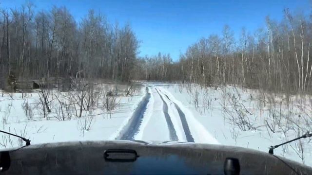 DRIVING The COUNTRYSIDE | Simple Living and Getting UNSTUCK😊 смотреть онлайн