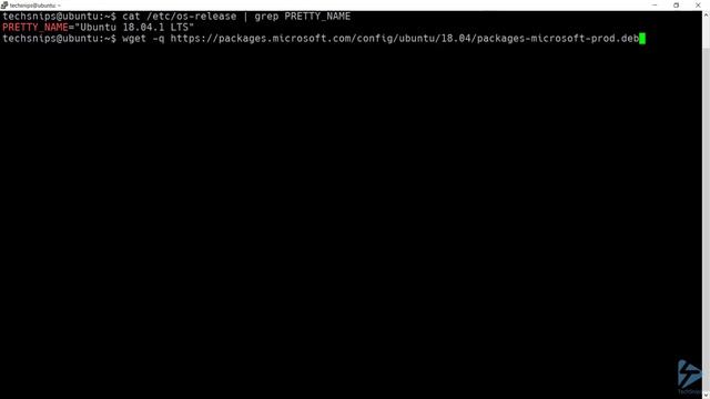 How To Install PowerShell Core On Debian (Ubuntu) смотреть онлайн