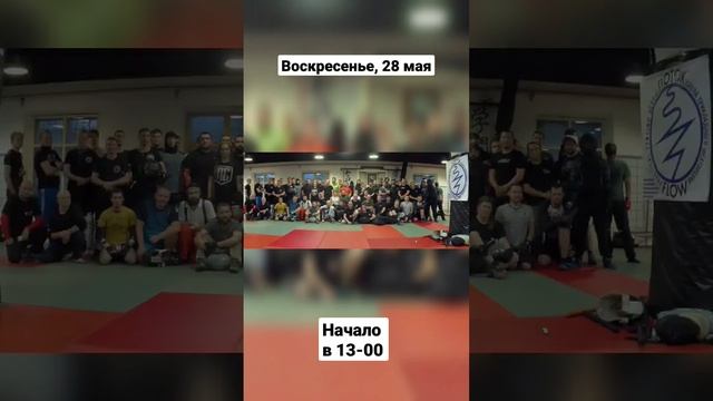 Открытые оружейные ковры в Потоке #shorts смотреть онлайн