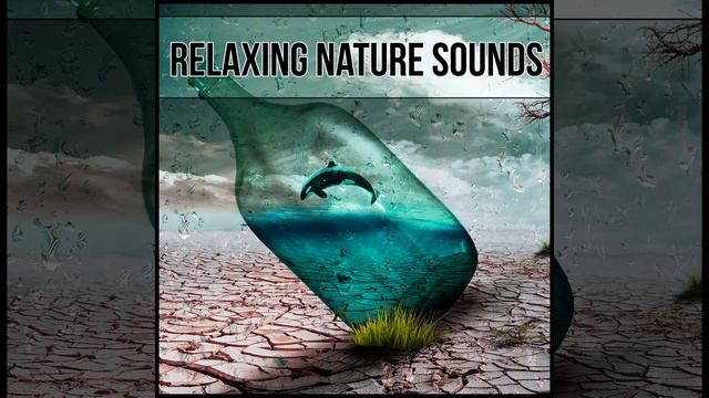 Touch My Body смотреть онлайн