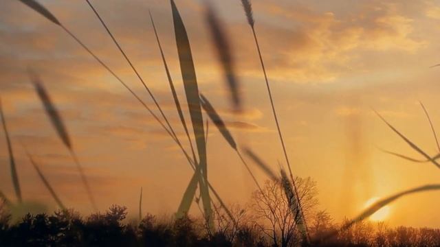 Your Front-Row Seat to the Environmental News Revolution