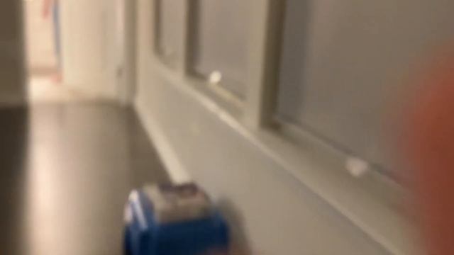 First video on my new IPad! смотреть онлайн