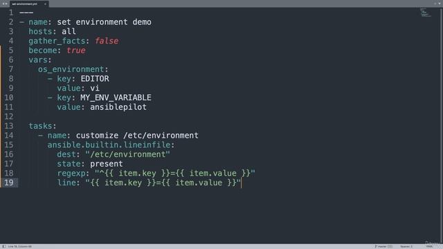 020 Permanently Set Remote System Wide Environment Variables on Linux   Ansible line