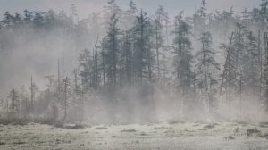 МИР ЧЕРНОГО ЖУРАВЛЯ АВТОРСКАЯ ВЕРСИЯ_RUS