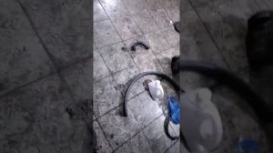 KIA Rio разницу движок A5D_S5D