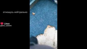 1000022322.mp4