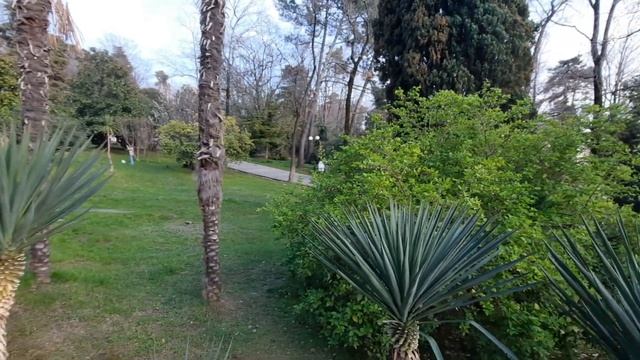 Атакуют в Окна и Двери🤬Потеплело🏝 смотреть онлайн