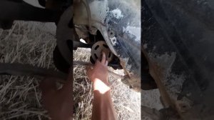 установка зажигания на ваз 21099.