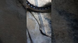 Выжимной подшипник роботизированное коробки передач honda fit gp 5. Своевременное обслуживание.