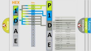 DTC Chrysler P1DAE Short Explanation