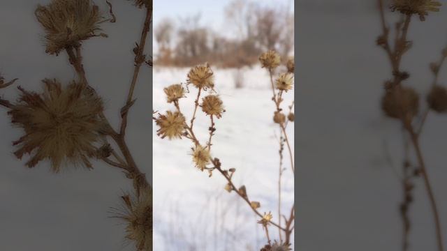 4. Подъем, спуск, скольжение в бок / Курс по Созданию Видео