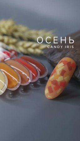 Осенняя коллекция. Гель-лаки AS Candy IRIS.