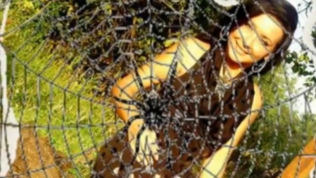 фильм слайд шоу смотреть онлайн