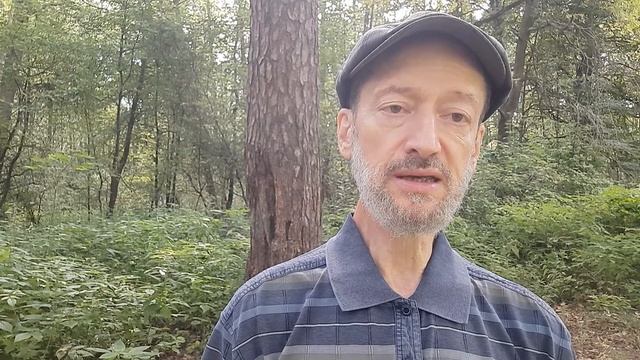 Духовный интеллект 03. Происхождение страха. Путь освобождения. смотреть онлайн