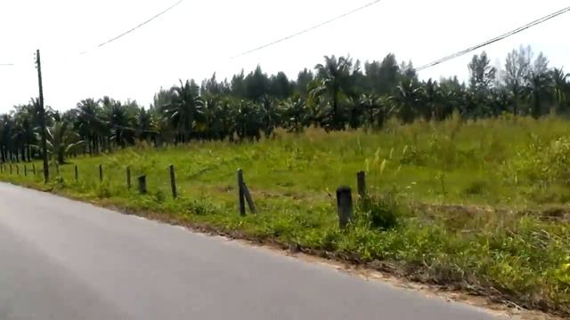 Riding in the bitch seat in Khao Lak Thailand