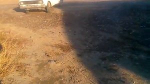 Лютый 2140