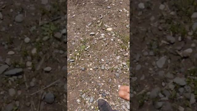 Айфоны против камня смотреть онлайн