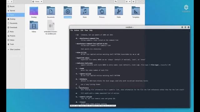How to use Kali Linux Commands||How To Interact With Linux Terminal & Basic Linux Commands||Coder-K