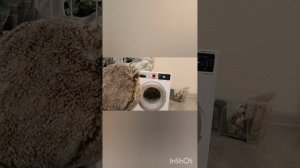 стирка желейных медведей