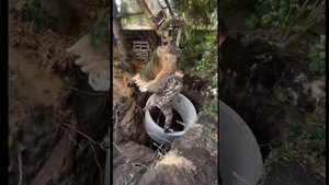 Старая выгребная яма плохо работает. Что делать?
