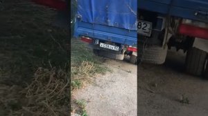 Баф феникс евро 4