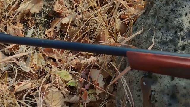🔫 МЦ-255: Российский револьверный дробовик 🎯