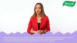 Холестерин в норме! "Атероклефит БИО" от Эвалар