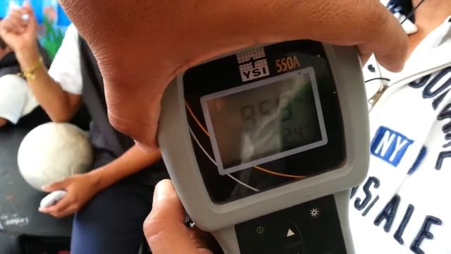 Prueba del Booster de Oxígeno FAV-O2 Acuicultura смотреть онлайн