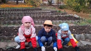 Агрономики