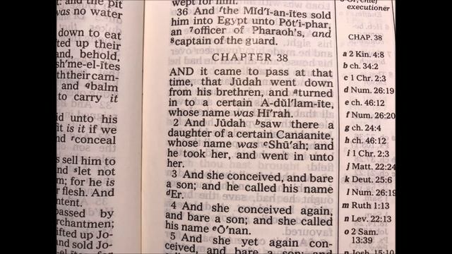 Chapter 38 - Genesis смотреть онлайн